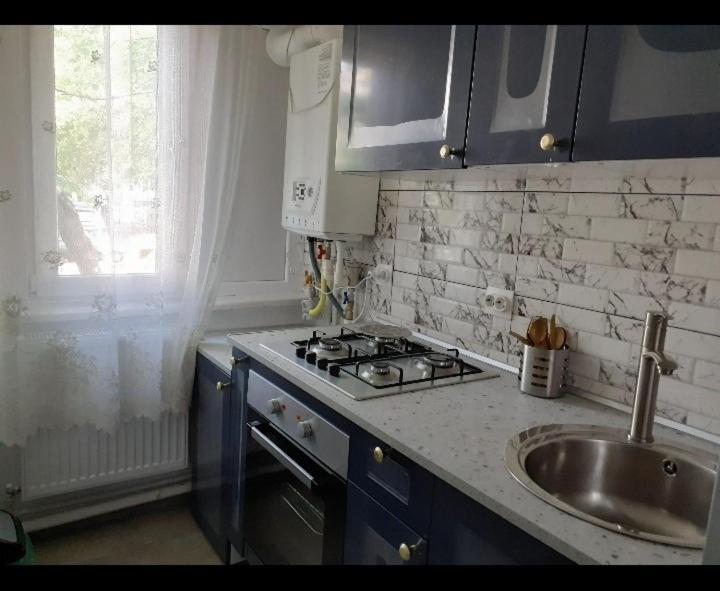 Silene Studio Craiova Eksteriør bilde